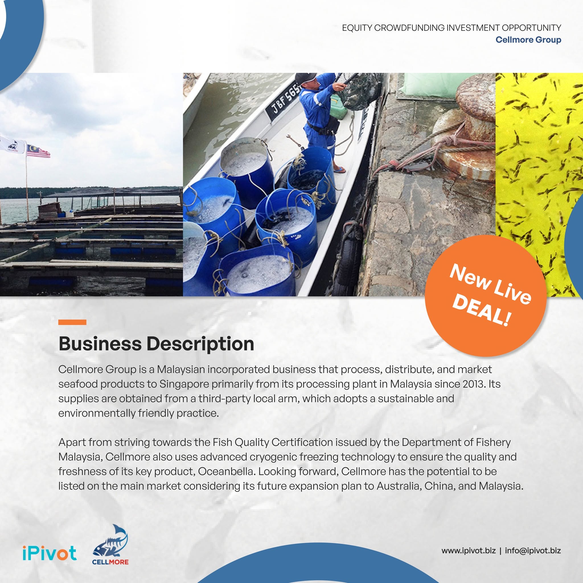 Corporate advisory discussion